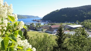 IMG 7646-2